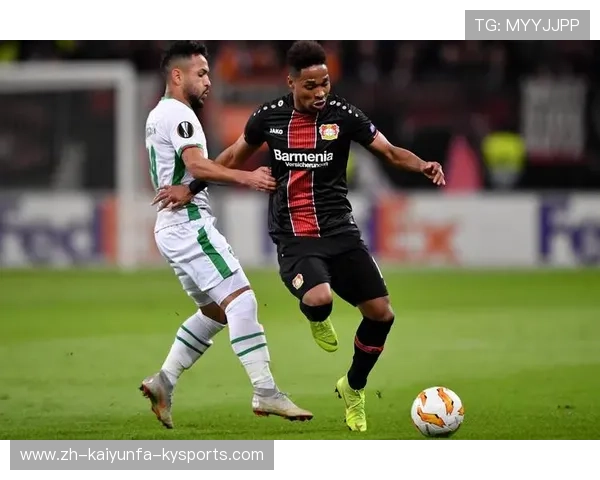 欧冠杯免费：观看欧冠杯比赛的免费资源与平台